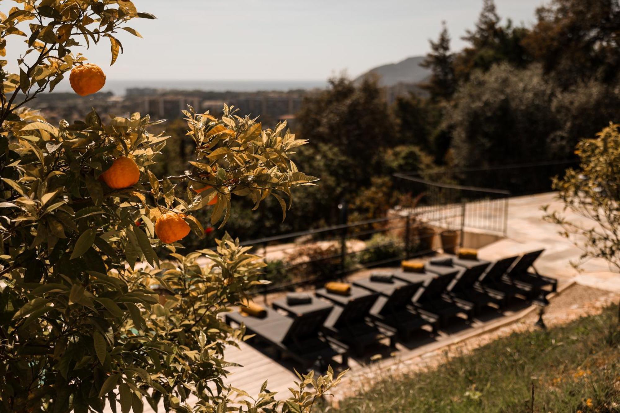 Villa Les Roches Mandelieu エクステリア 写真