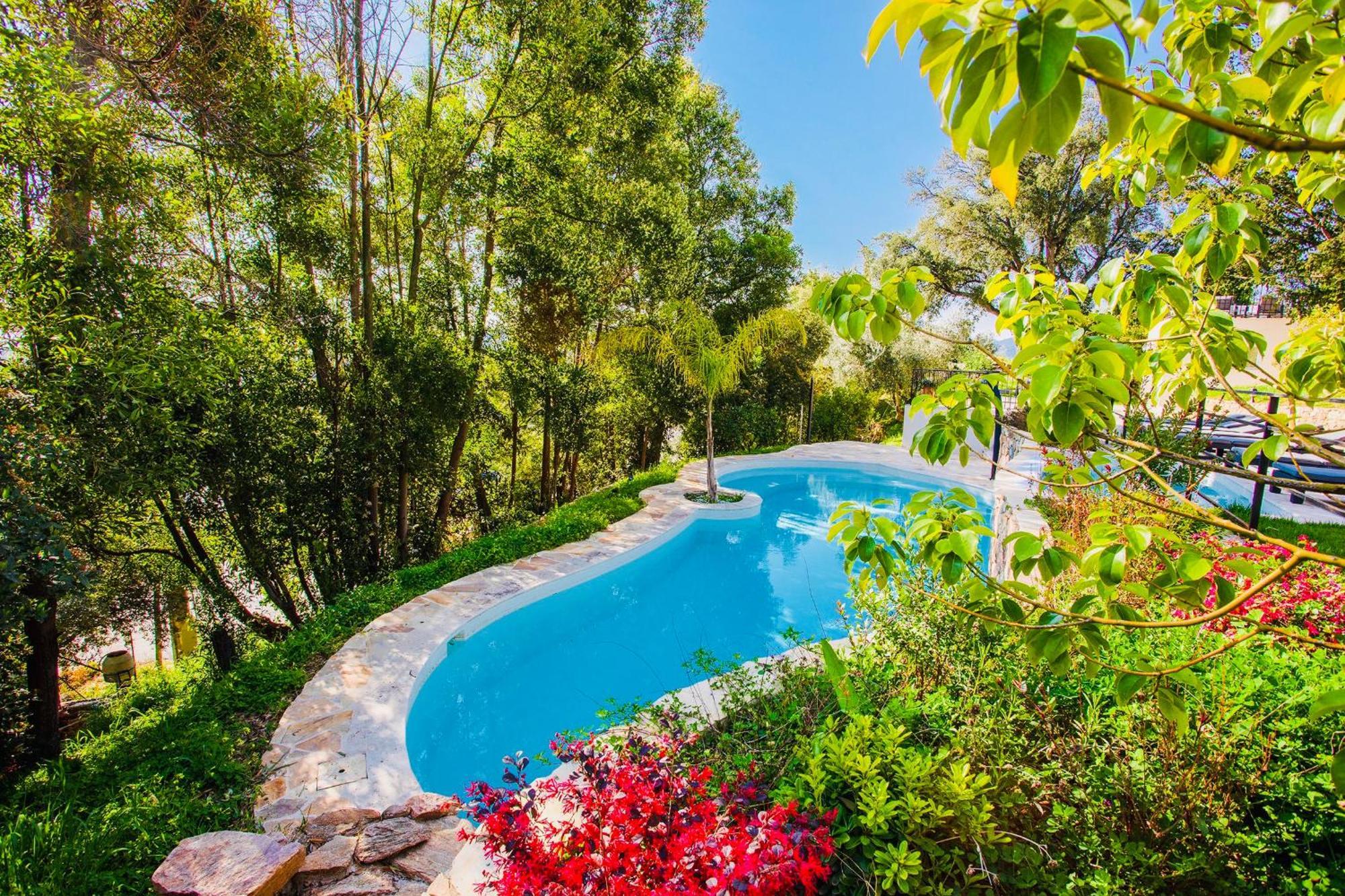 Villa Les Roches Mandelieu エクステリア 写真